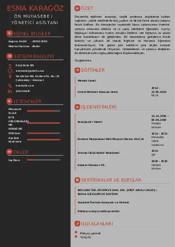 Yönetici Asistanı Cv Örnekleri cv indir